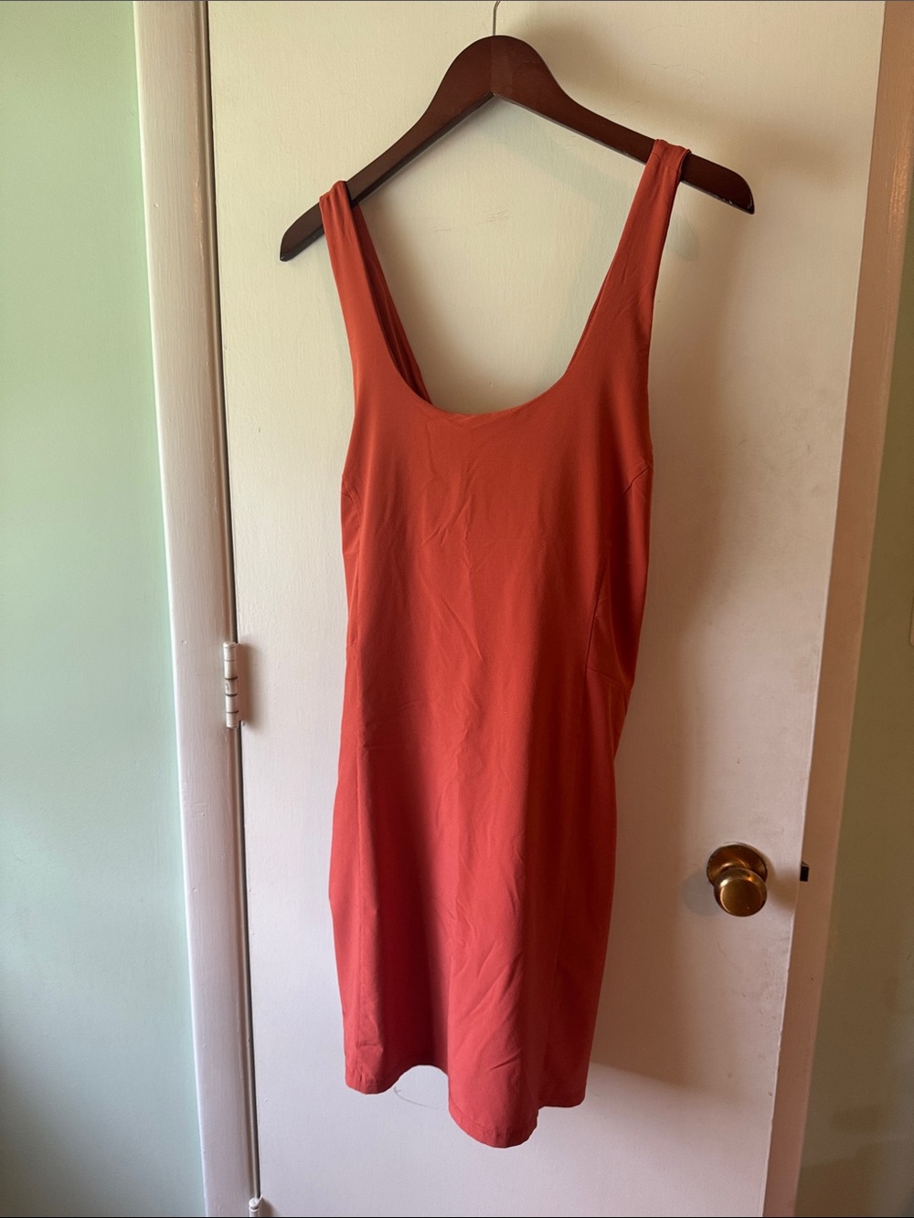 REI Sleeveless Scoop Neck Mini Dress in Rust